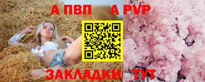 гашик Тара