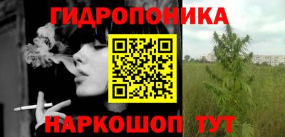 гашик Тара