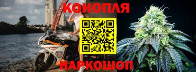 гашик Тара