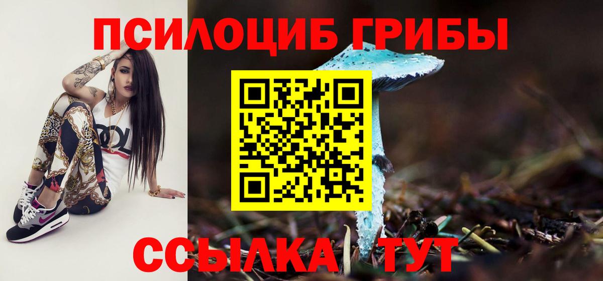 Псилоцибиновые грибы мицелий  Вход с VPN  Орёл 